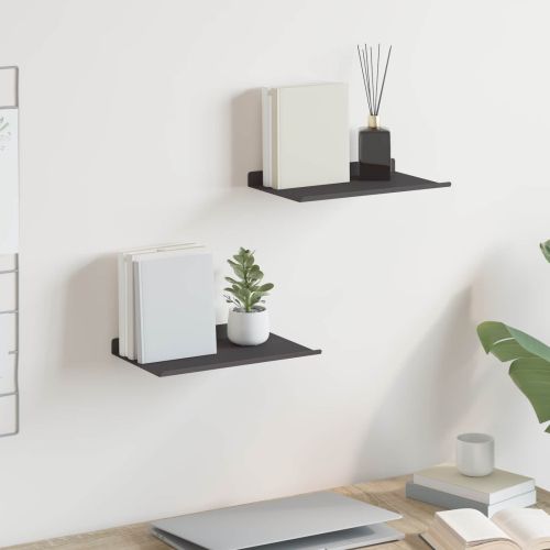 Плаващ рафт 2 pcs Черен 30 x 17,5 x 2,5 см Стомана