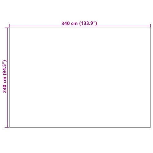 Килими за помещение AGIRA Естествен 340 x 240 см Полиестер