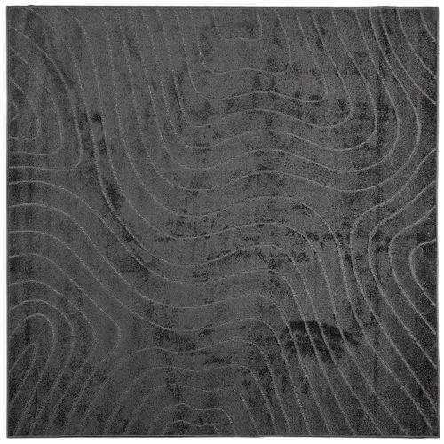 Килими за помещение PALMERAS Антрацит 120 x 120 cm Полиестер