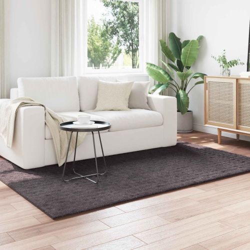 Килими за помещение SIROLO Антрацит 230 x 160 см Полиестер