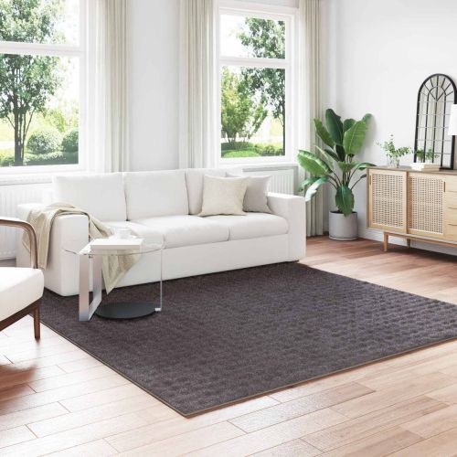 Килими за помещение SIROLO Антрацит 240 x 240 cm Полиестер