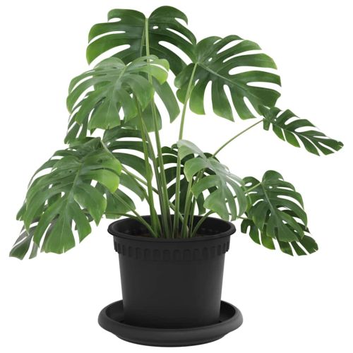 Саксии за растения 24 pcs Черно Ø 12,5 x 10 см Пластмаса