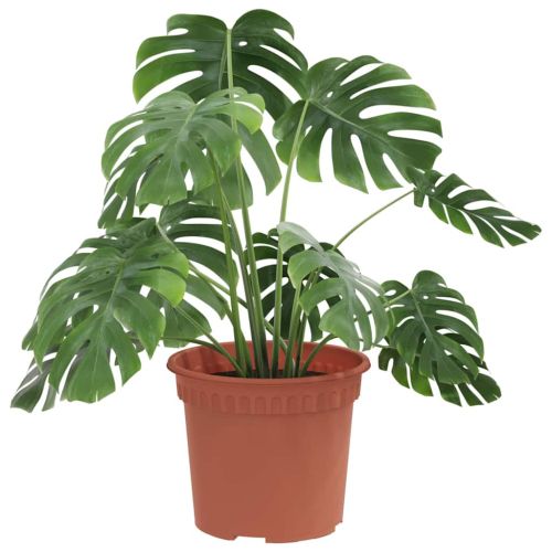 Кръгла саксия за цветя 24 pcs Червено тухла Ø 12,5 x 10 см