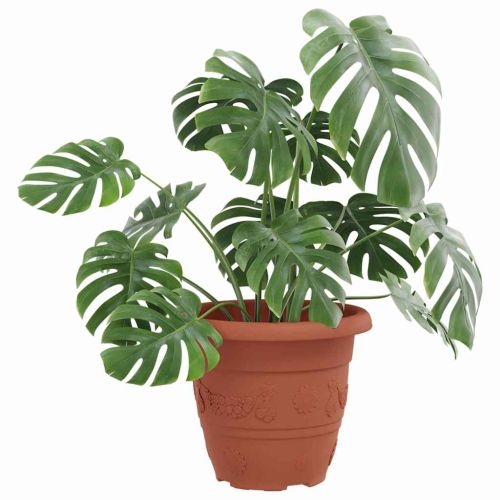 Кръгла саксия за цветя 24 pcs Червено тухла Ø 22 x 18 см