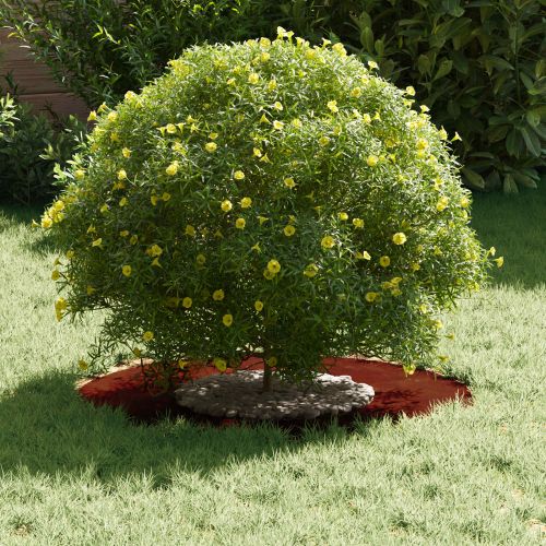 подходяща за плоски дървени халки 5 pcs Кафяво Ø30 / 60 см