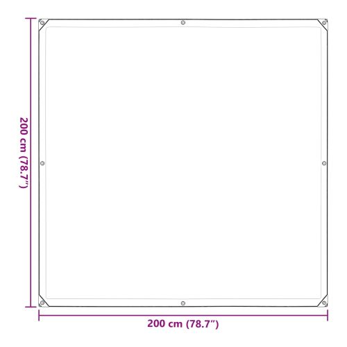 Покритие за растения Прозрачен 2 x 2 m ПЕ