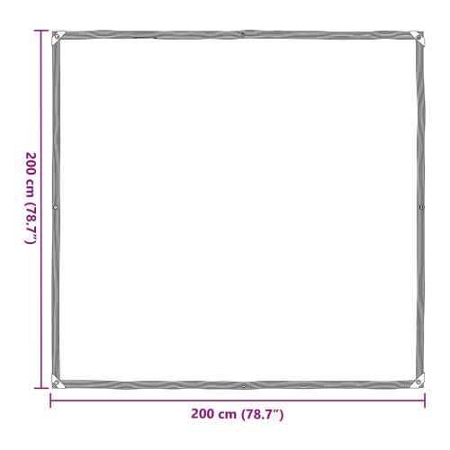 Покритие за растения Прозрачен 2 x 2 m ПЕ