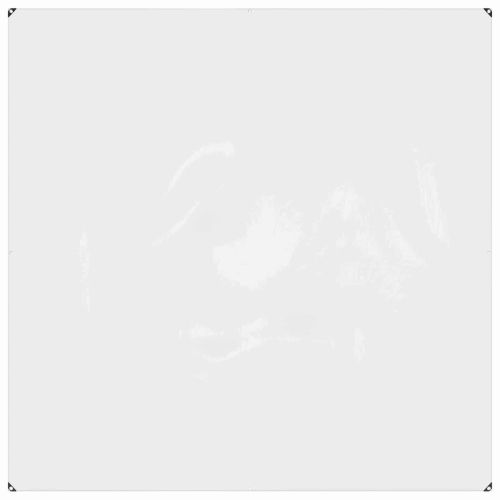 Платно с детайли Прозрачен 2 x 2 m Полиетилен