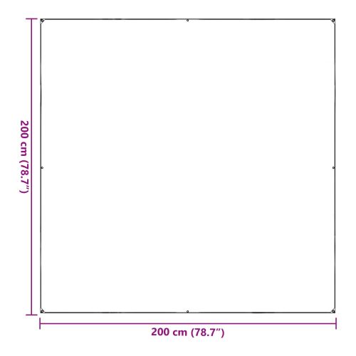 Покритие за растения Прозрачен 2 x 2 m ПВЦ