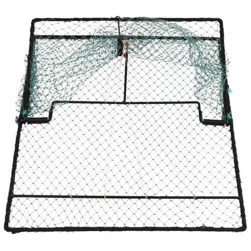 Капан за птици Зелен 50 x 60 x 1,9 см Полиетилен