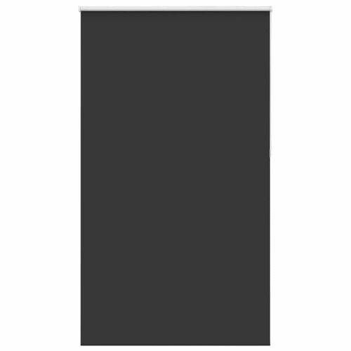 Ролетна щора Blackout Black 125x230 cm Ширина на плата 121,6 cm