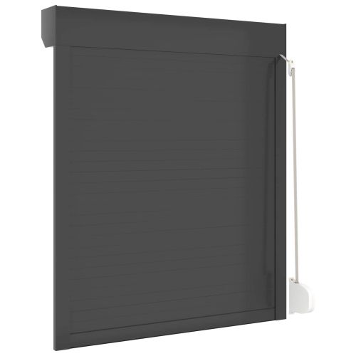 Ролетна щора Антрацит 100 x 120 cm Алуминий и полиреутан