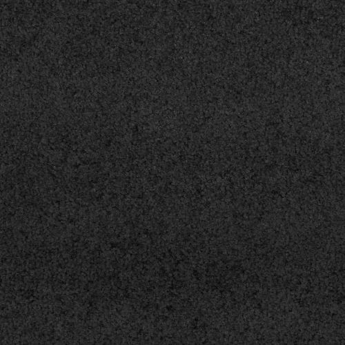 Мат за врата Друг Черно 90 x 150 cm Полипропилен и винил