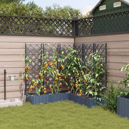 Градинска саксия 5 pcs Сив 120 x 120 x 126 см Пластмаса