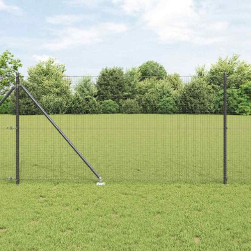 Заварена мрежа с шипове 50 x 1 м (Ш x В) PVC покрита стомана