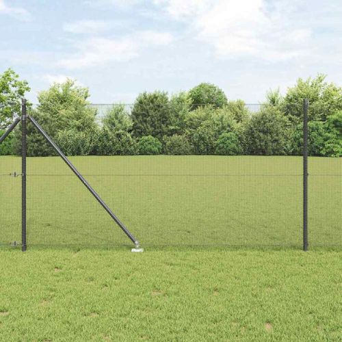Заварена мрежа с шипове 100 x 1 м (Ш x В) PVC покрита стомана