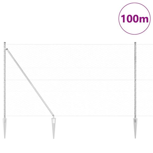 Шестоъградно ограждение с кол 100 x 1,6 м Поцинкована стомана
