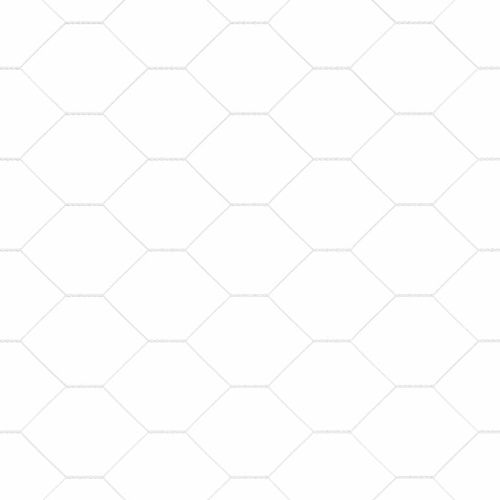 Шестоъградно ограждение с кол 100 x 1,6 м Поцинкована стомана