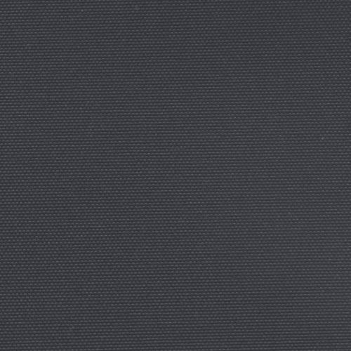 Прибираща се странична тента, черна, 220x1000 см