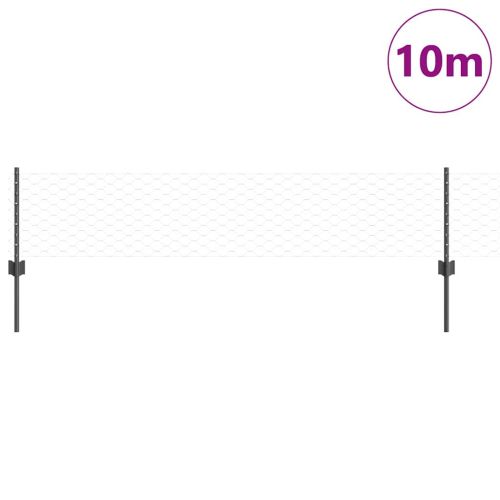 Шестоъградно ограждение с кол 10 x 0,4 m ПВЦ-обработена стомана