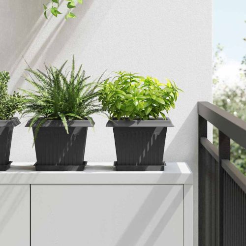 Саксии за растения 6 pcs Черно 23 x 23 x 17,5 см Пластмаса